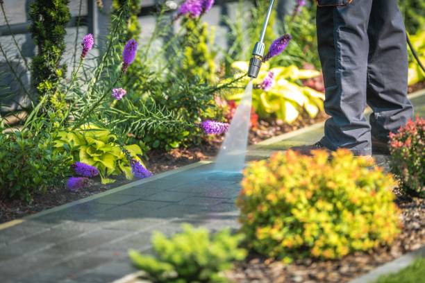 Professional Pressure Washing in Clearview, WA